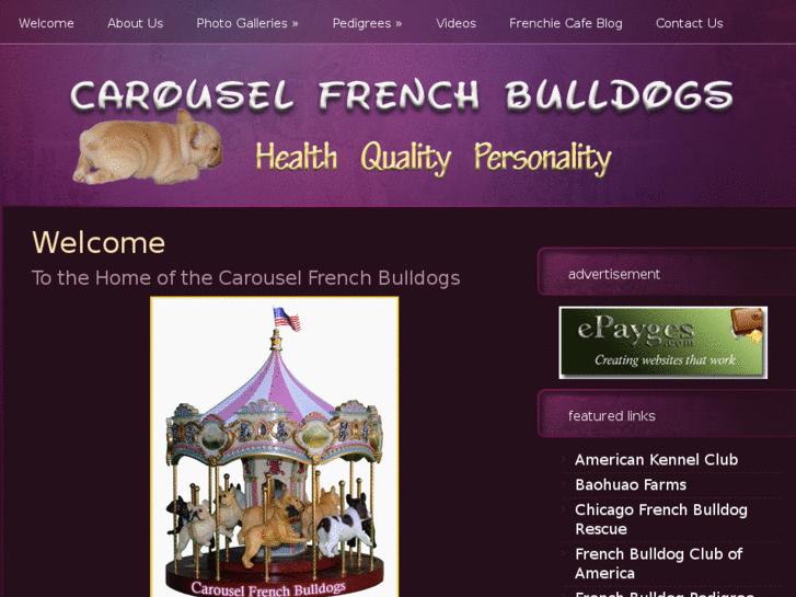 www.carouselfrenchbulldogs.com