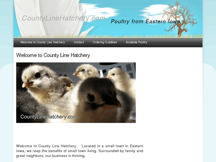 www.countylinehatchery.com