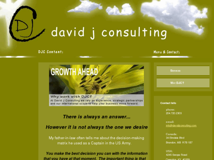 www.davidjconsulting.com