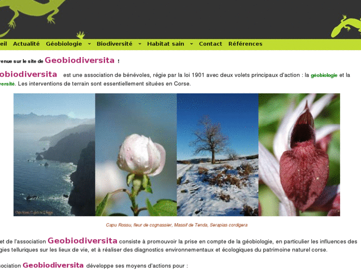 www.geobiodiversita.org