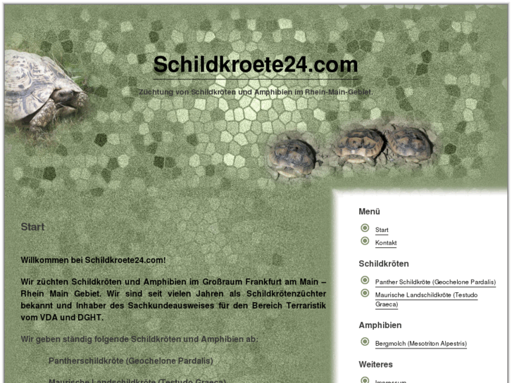 www.schildkroete24.com