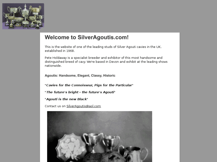 www.silveragoutis.com