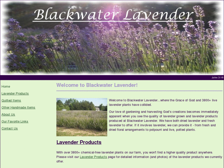 www.blackwaterlavender.com