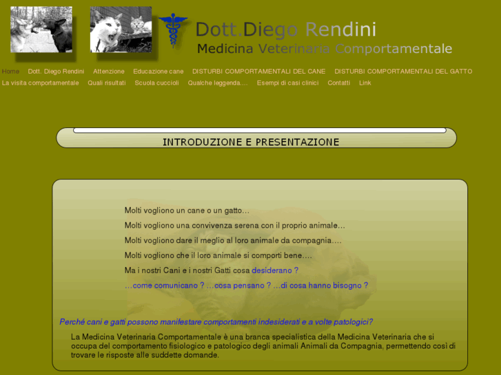 www.diegorendini.com