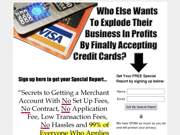 www.netcreditcardprocessing.com