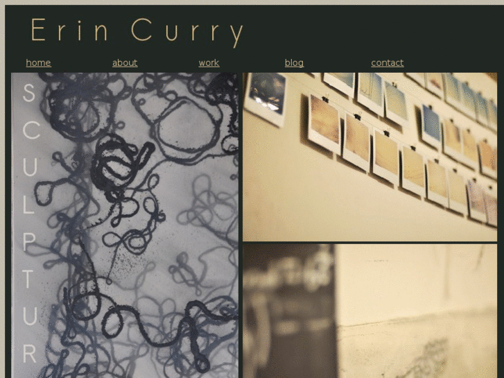 www.erincurry.com