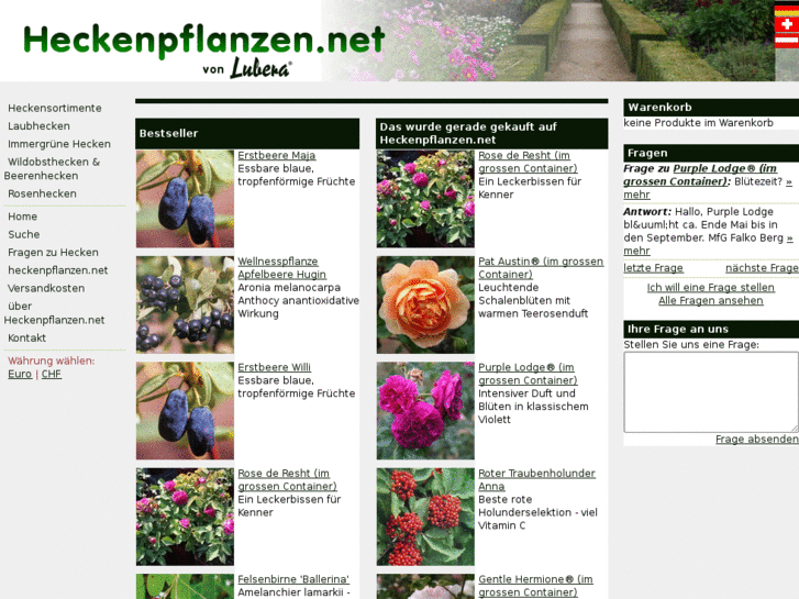 www.heckenpflanzen.net