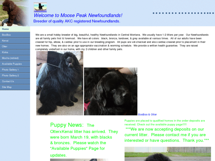 www.moosepeaknewfoundlands.com