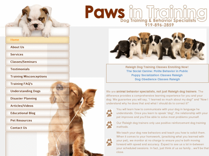 www.pawsintraining.com