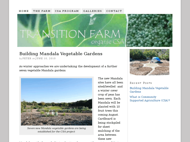 www.transitionfarm.com