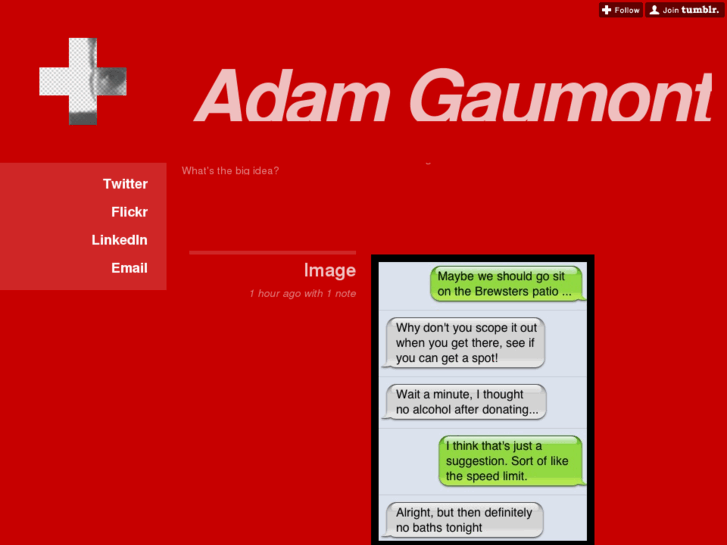 www.adamgaumont.com