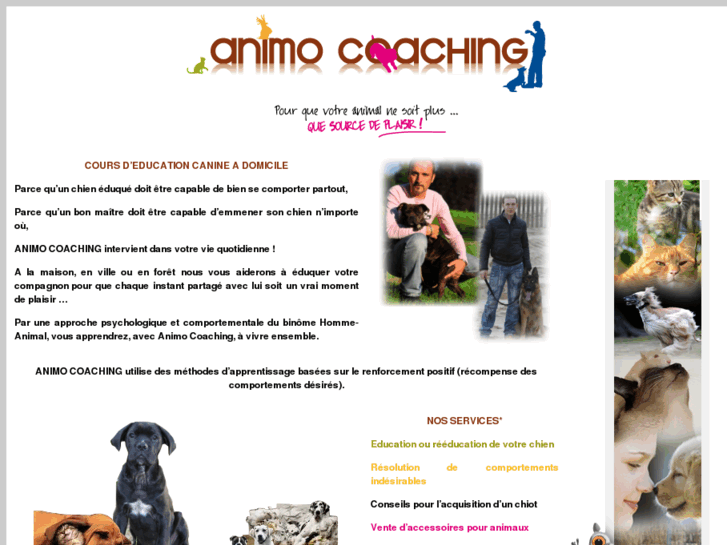 www.animo-coaching.com