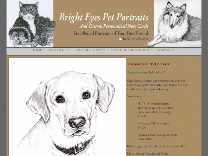 www.brighteyespetportraits.com