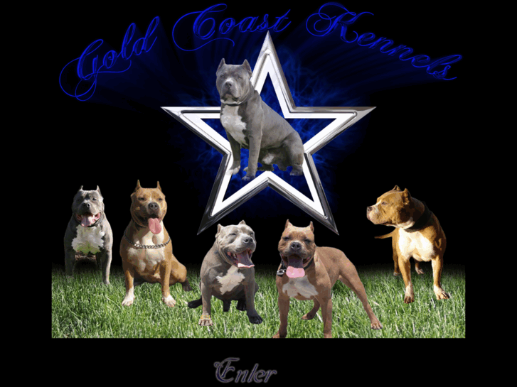 www.goldcoastkennels.com