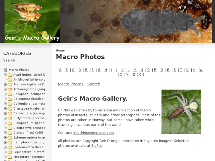 www.insectmacros.com