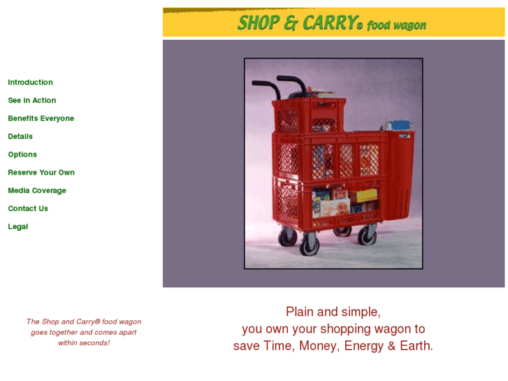 www.shopandcarry.com