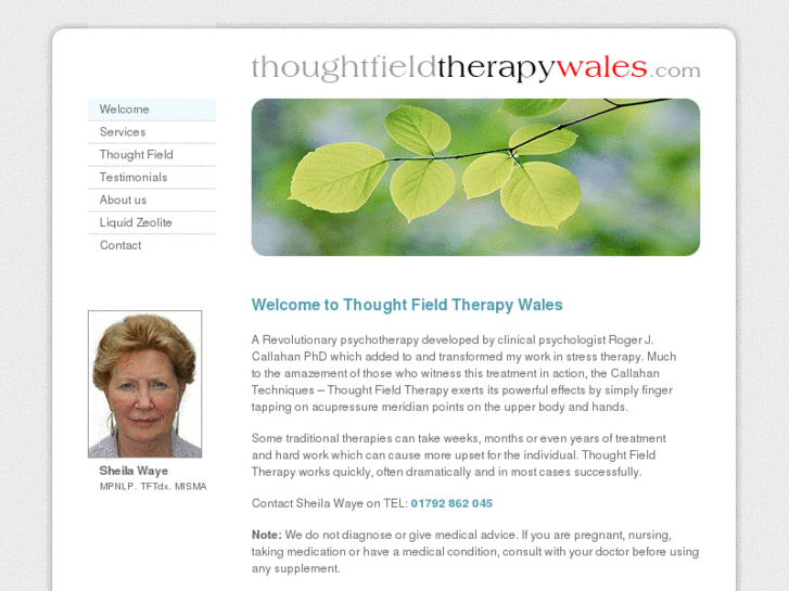 www.thoughtfieldtherapywales.com