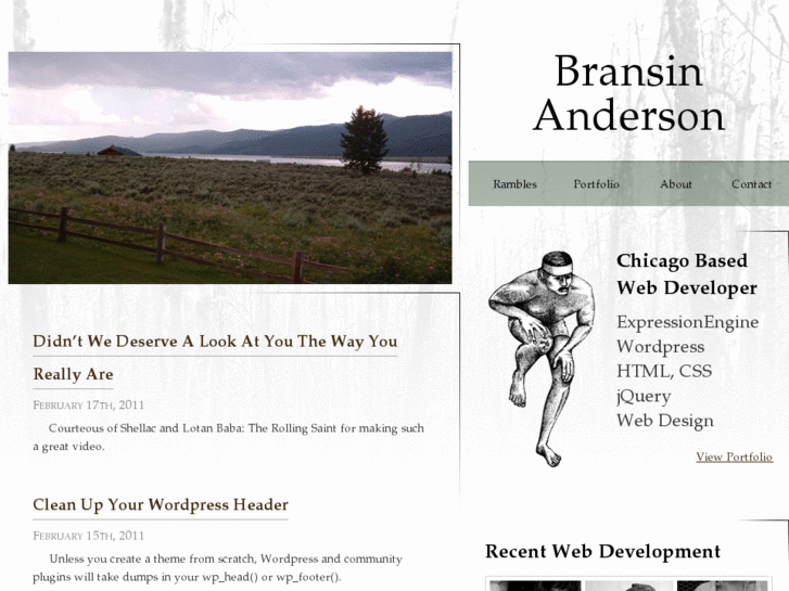 www.bransinanderson.com