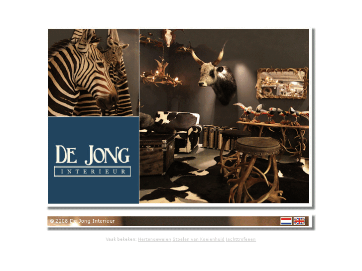 www.dejonginterieur.com