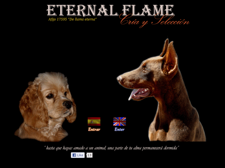 www.dobermann-eternalflame.es