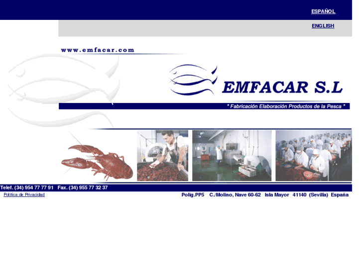 www.emfacar.com