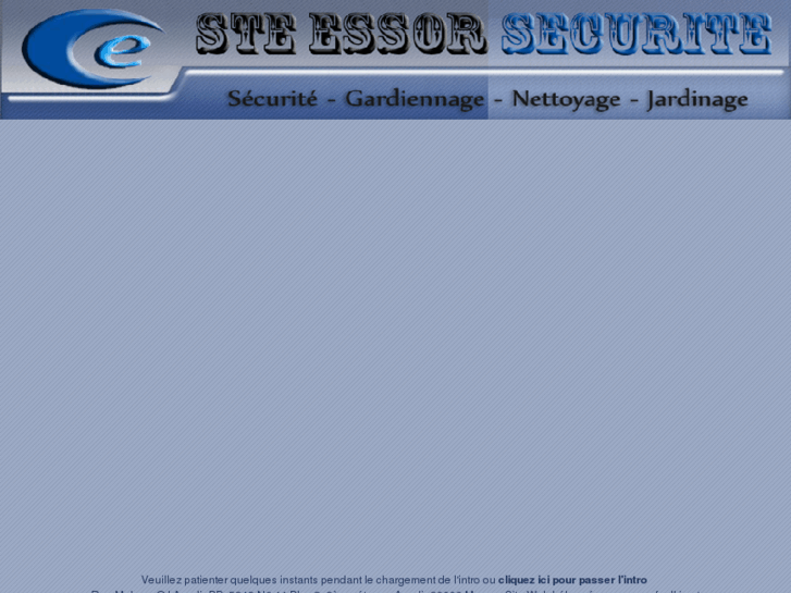 www.essor-securite.com