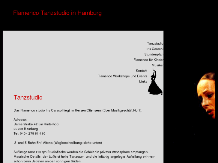 www.flamenco-zentrum.de