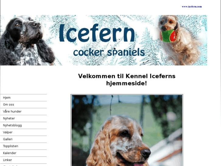 www.icefern.com