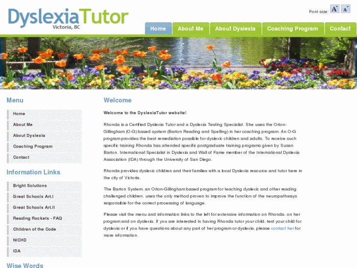 www.thedyslexiatutor.com