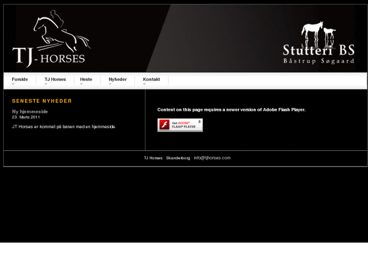 www.tjhorses.com