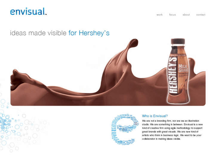 www.envisual.com