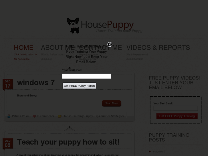 www.housepuppy.com