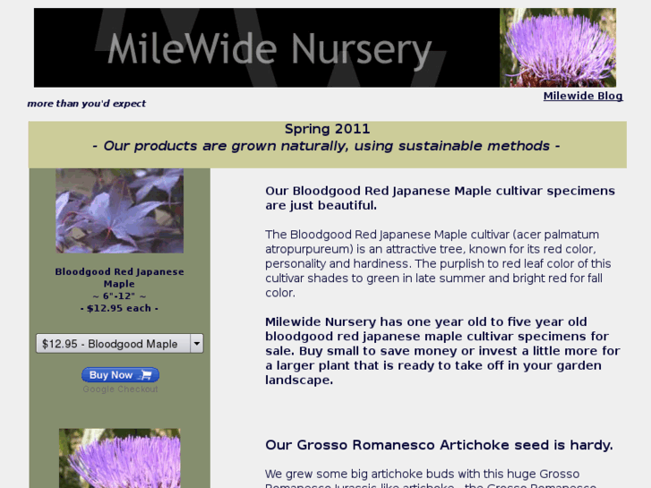 www.milewidenursery.com