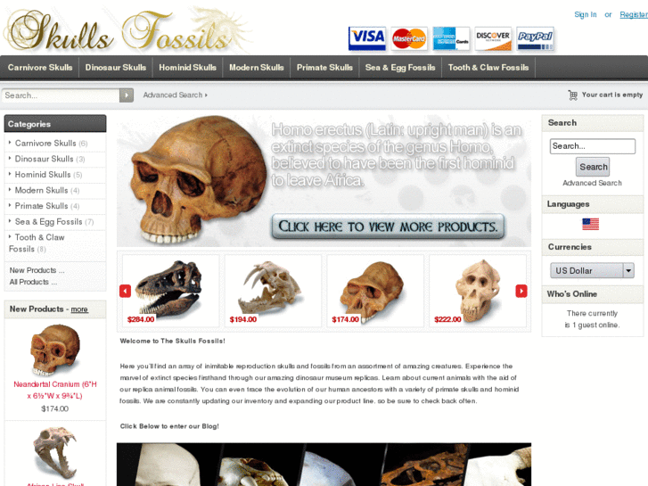 www.skullsfossils.com