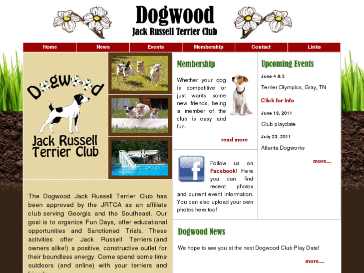 www.dogwoodjackrussellclub.com