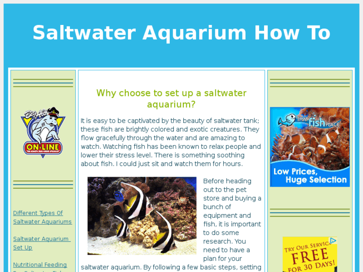 www.saltwateraquariumhowto.com