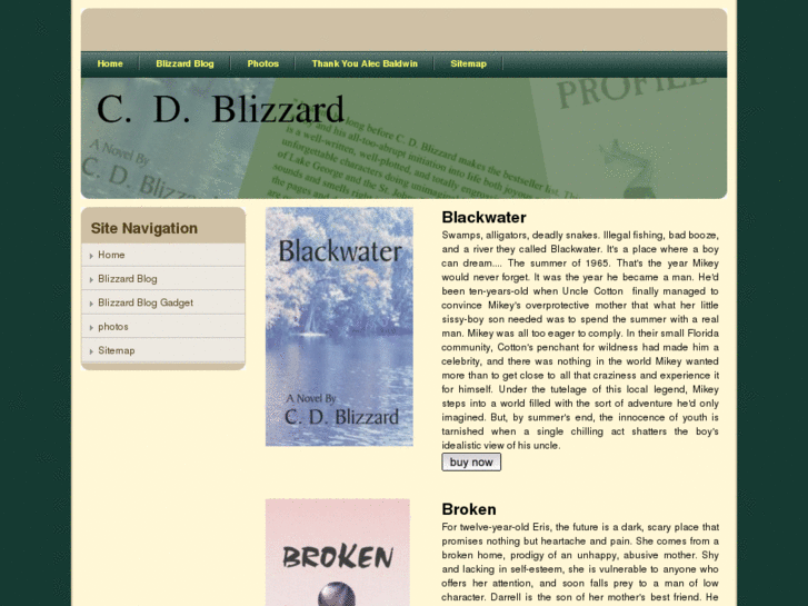 www.cdblizzard.com