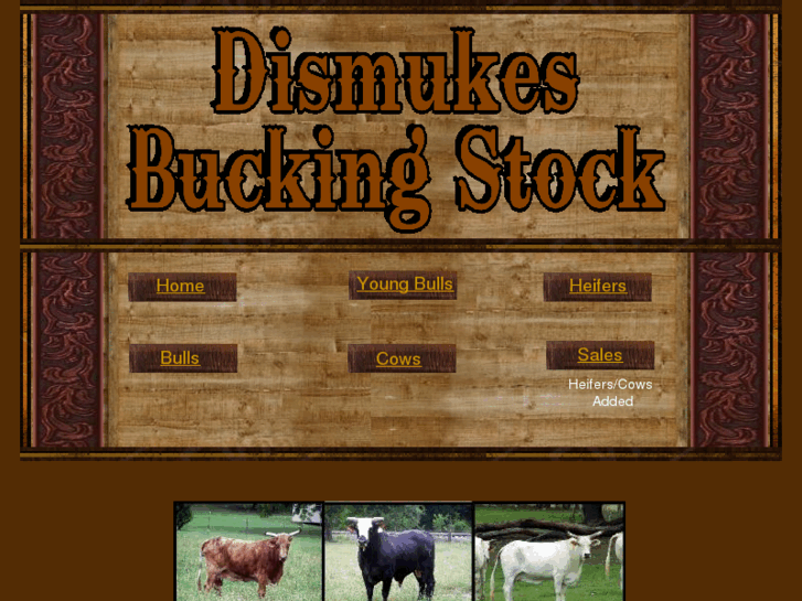 www.dismukesbuckingstock.com