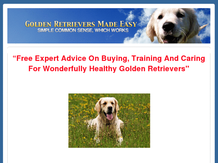 www.goldenretrieversadvice.com