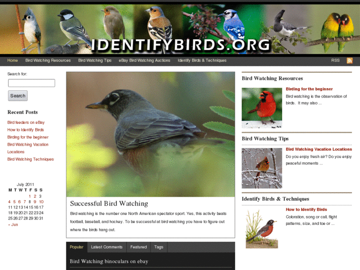 www.identifybirds.org