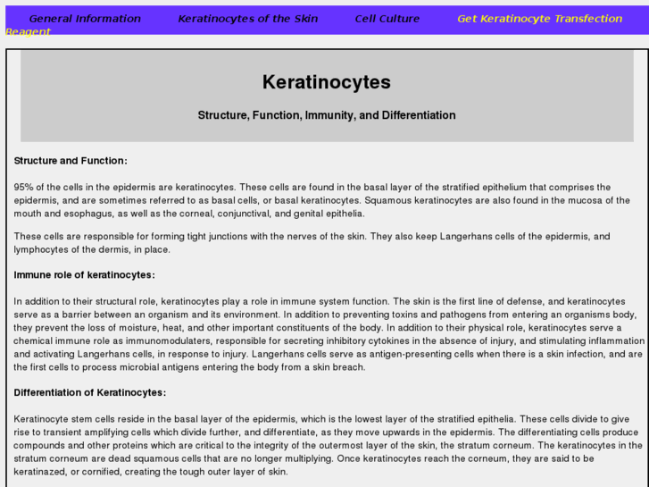 www.keratinocyte-transfection.com