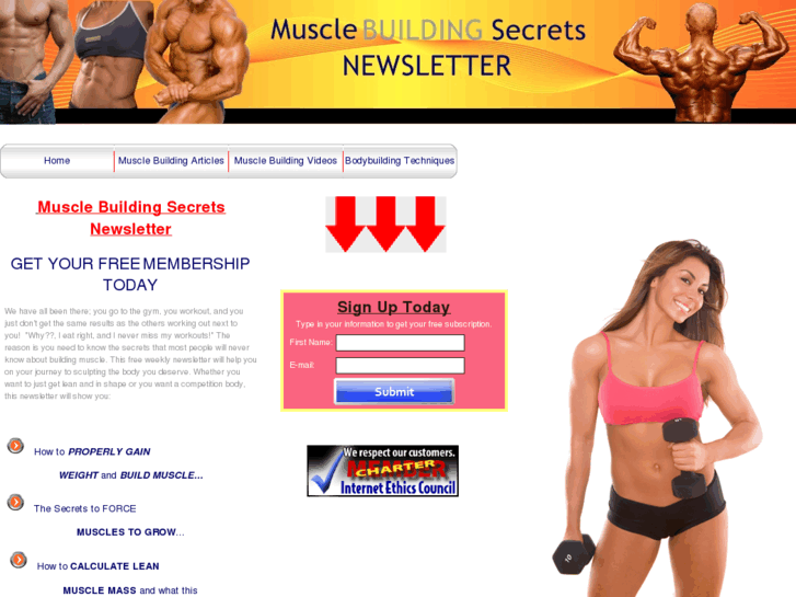 www.musclebuilding-secrets.com