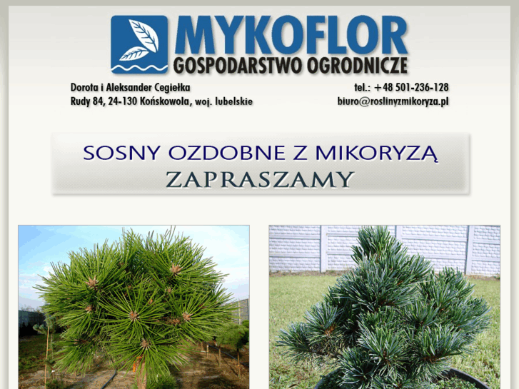 www.sosny-mikoryza.pl