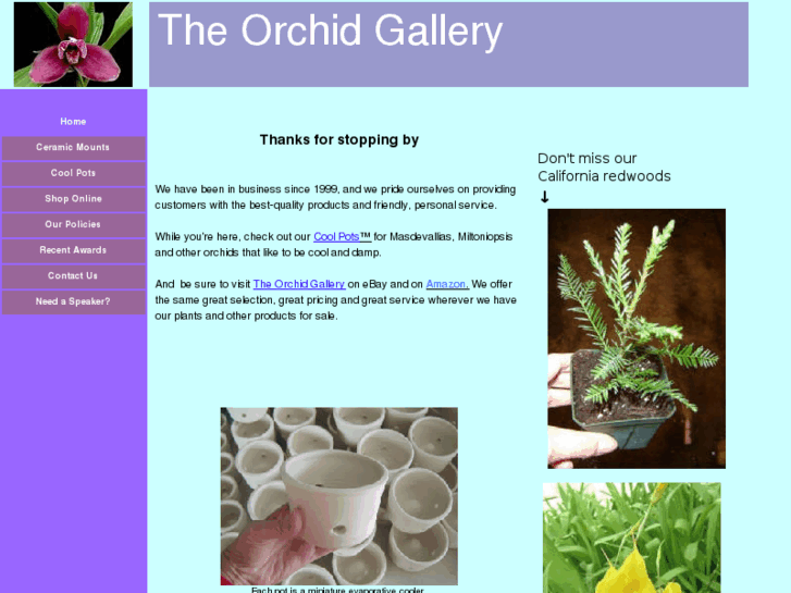 www.theorchidgallery.net