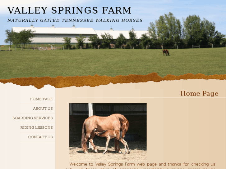 www.valleyspringsfarm.com