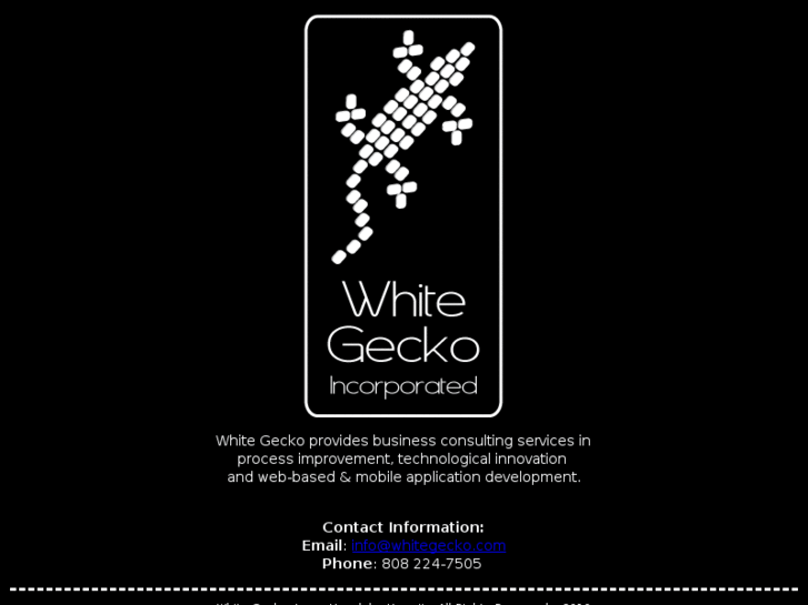 www.whitegecko.com