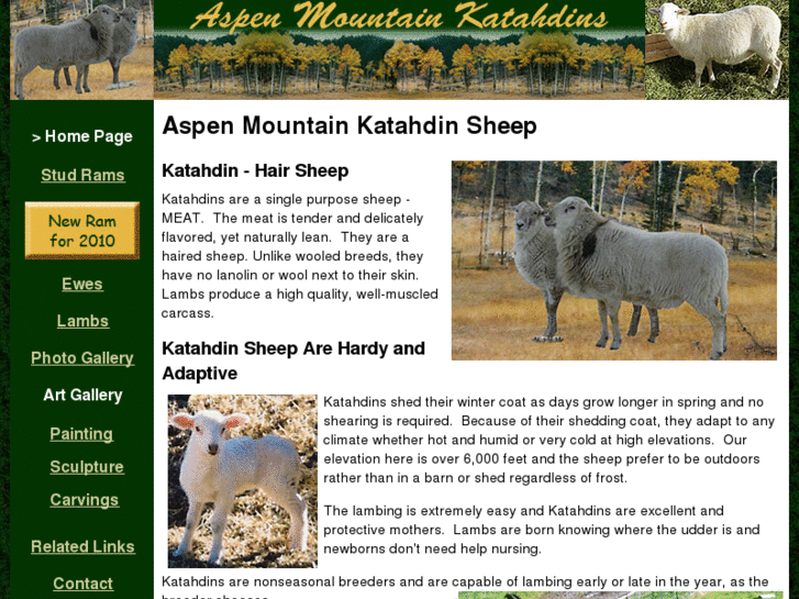 www.aspensheep.com