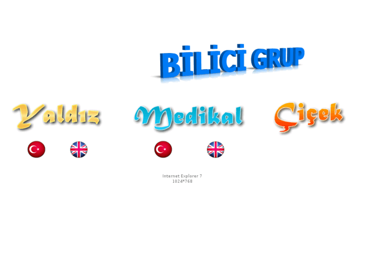 www.bilicigrup.com