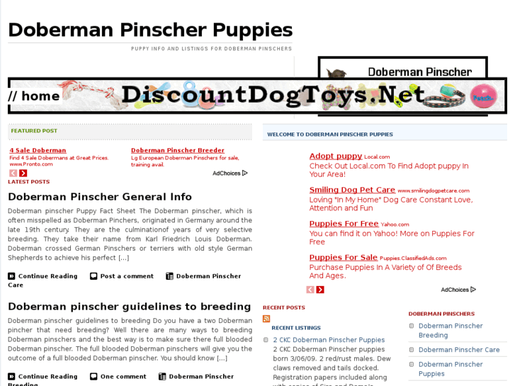 www.dobermanpinscherpuppies.net