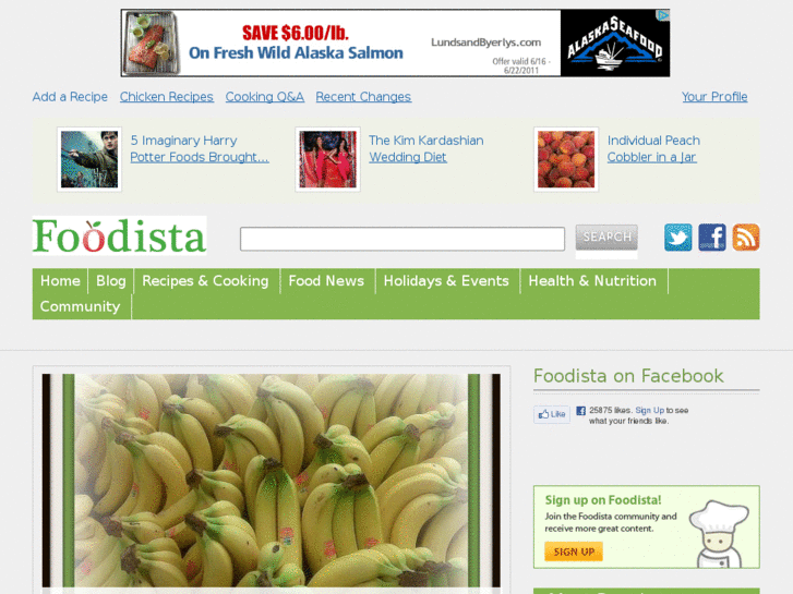 www.foodvista.net